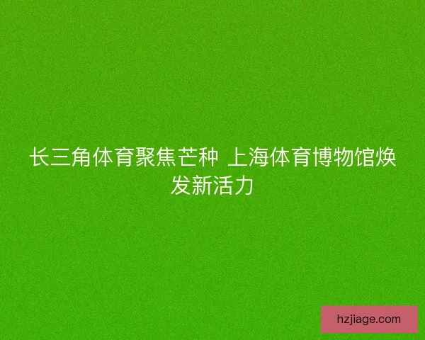 长三角体育聚焦芒种 上海体育博物馆焕发新活力