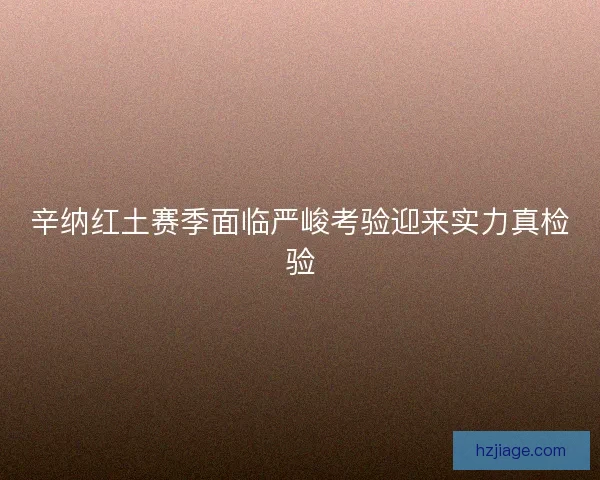 辛纳红土赛季面临严峻考验迎来实力真检验