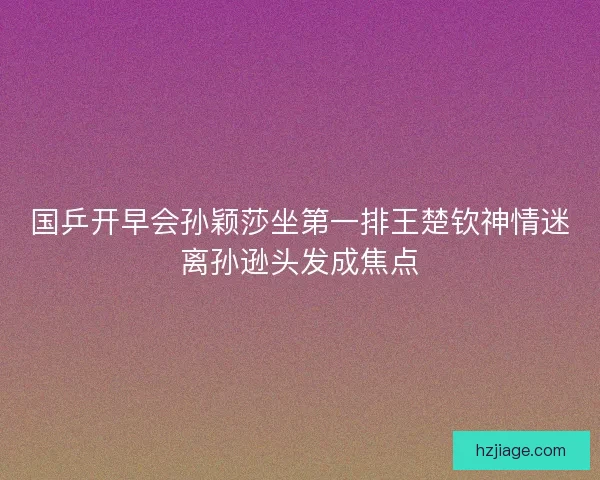国乒开早会孙颖莎坐第一排王楚钦神情迷离孙逊头发成焦点