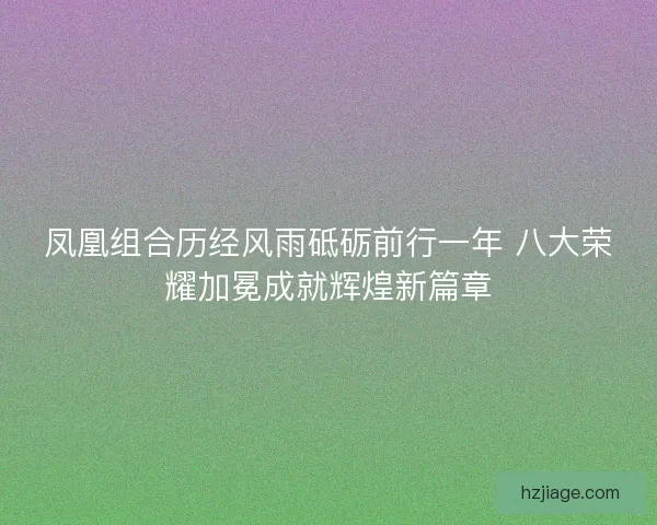 凤凰组合历经风雨砥砺前行一年 八大荣耀加冕成就辉煌新篇章 凤凰组合历经风雨砥砺前行一年 八大荣耀加冕成就辉煌新篇章